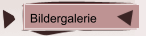 Bildergalerie