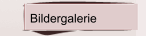 Bildergalerie